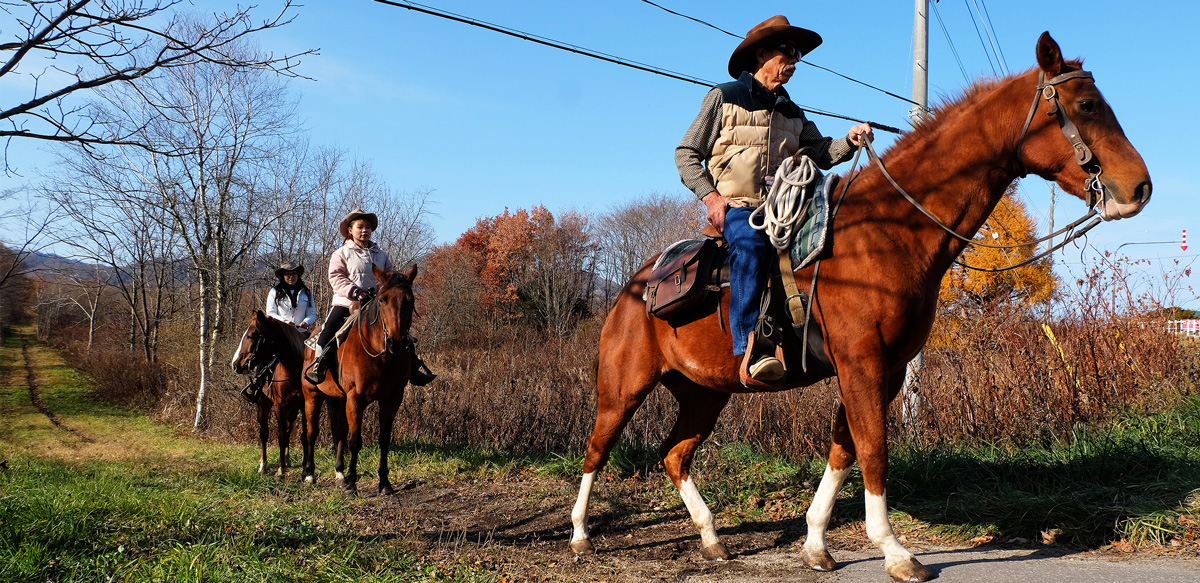 Sonny's Stable horse trekking