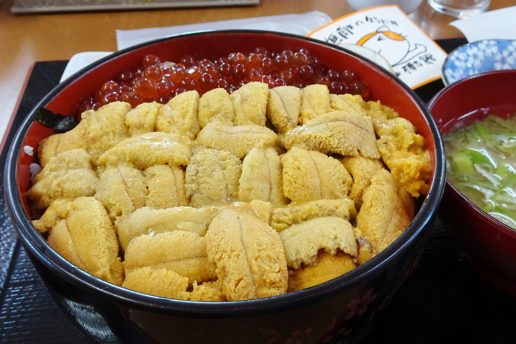 wakkanai_ap9.jpg