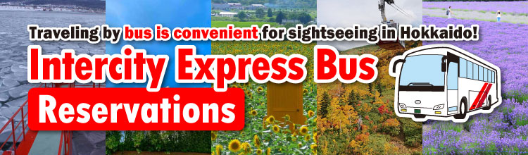 Hokkaido Intercity Express Bus Reservations