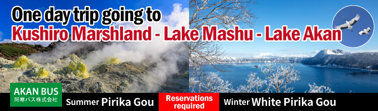 Sightseeing Bus: Pirika / White Pirika (Reservation Required)